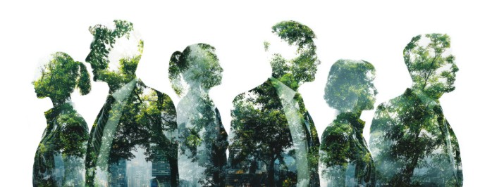 Environmentally conscious business professionals represented with forest imagery, highlighting corporate sustainability, green initiatives, and eco-friendly business practices.